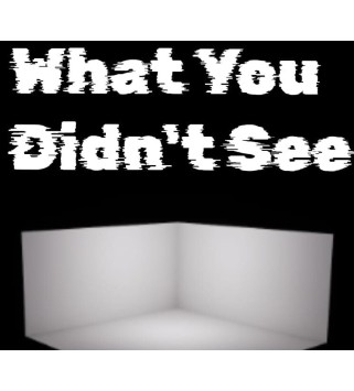 What You Didn t See Steam Key GLOBAL